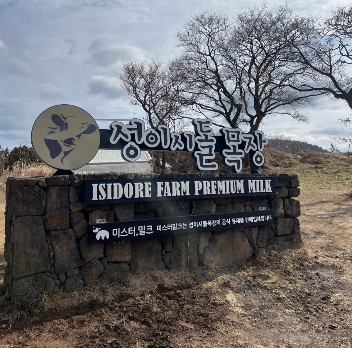 겨울-제주여행-무료로-말-구경할-수-있는-성이시돌목장-소요시간-아이스크림-후기