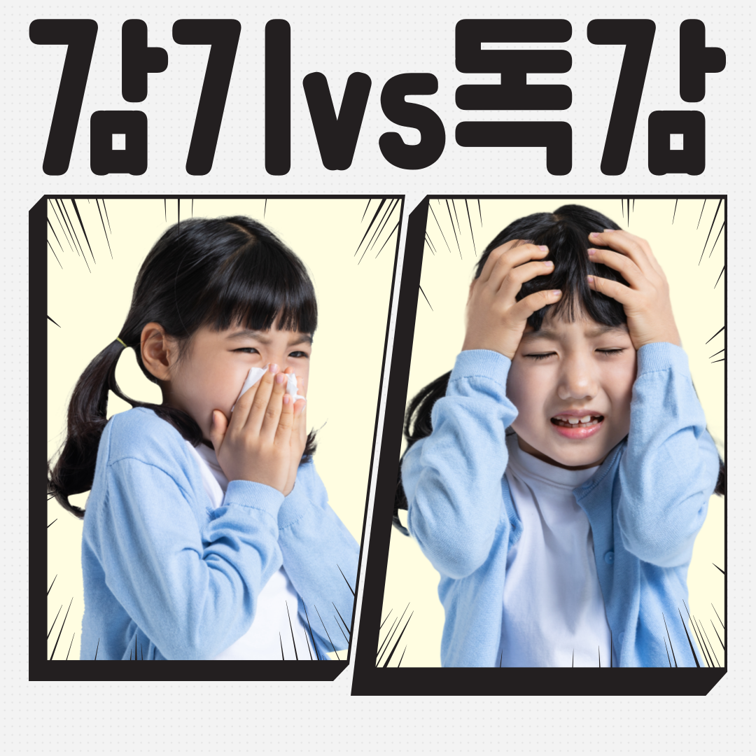 감기와 독감