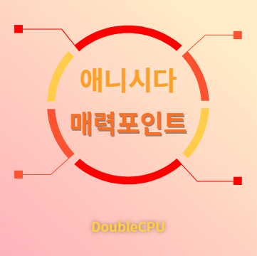 애니시다 매력포인트