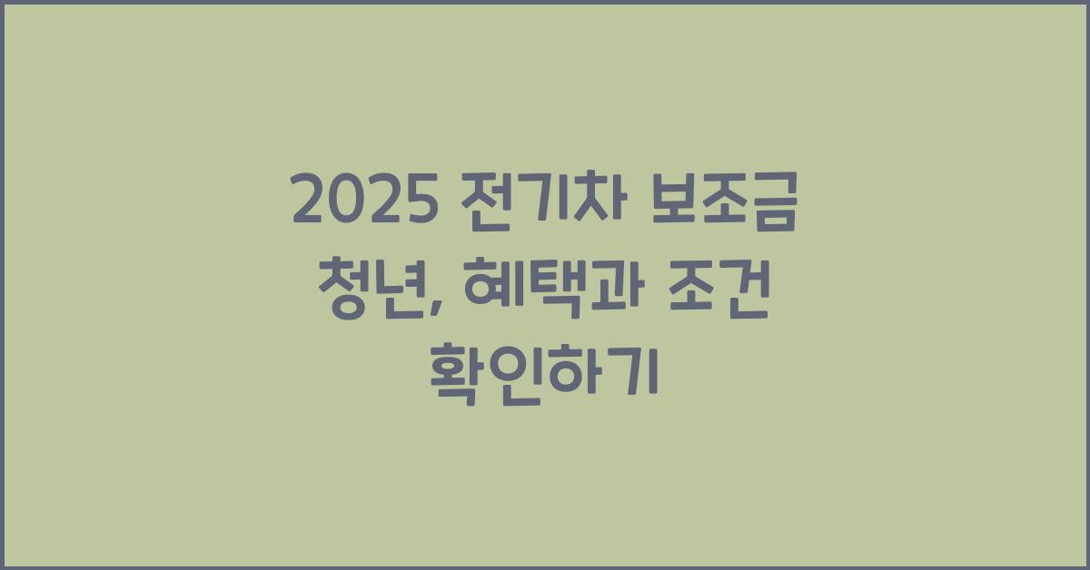 2025 전기차 보조금 청년
