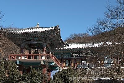 꽃으로 가는 봄 여행지...