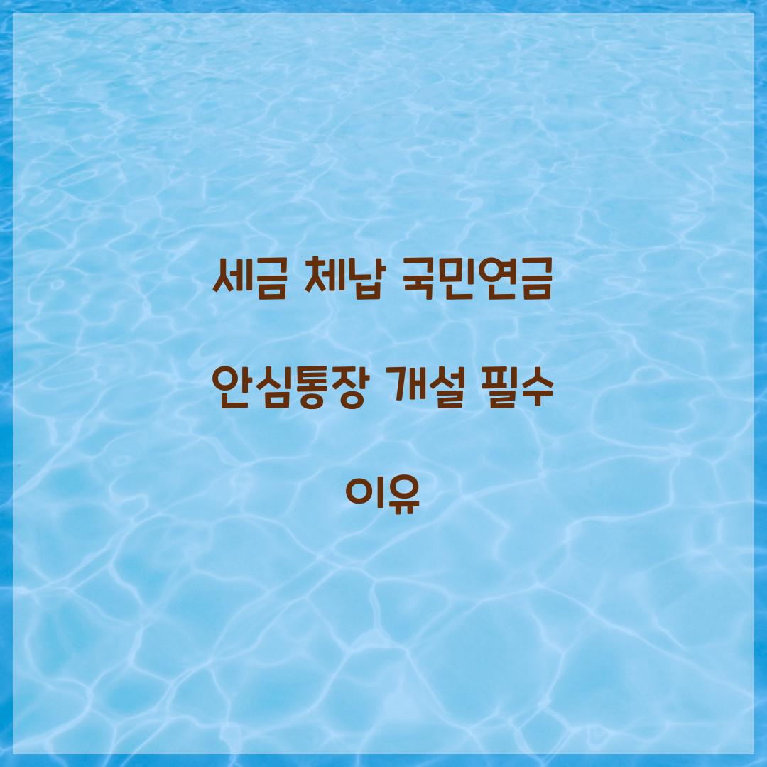 세금 체납 국민연금 안심통장