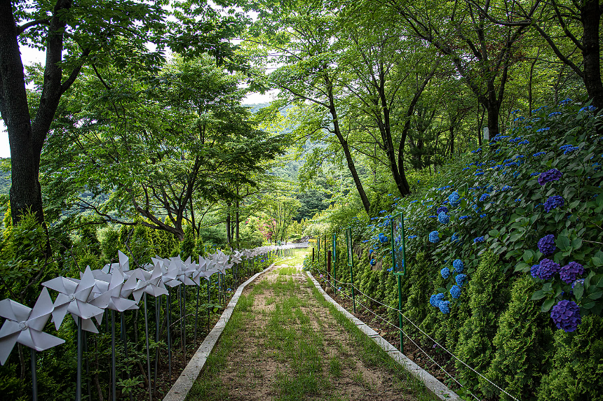 특색 있고 아름다운 민간 정원 30선 추천 여행 - 14. 고성 그레이스 정원