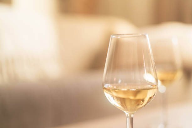 생 새우회 &amp; 샤블리(Chablis) 와인 페어링｜바다의 단맛과 석회암의 미네랄이 부딪칠 때