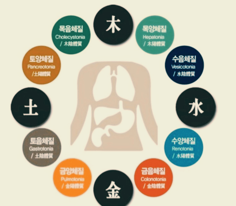 8체질 자가 진단 홍보 이미지
