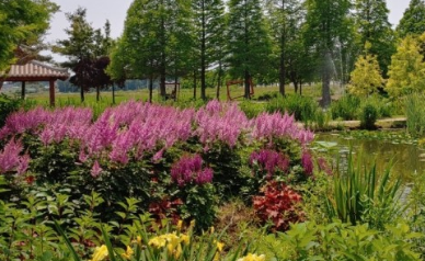 태안 청산수목원 여행지