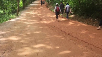 계족산 황토길 사진