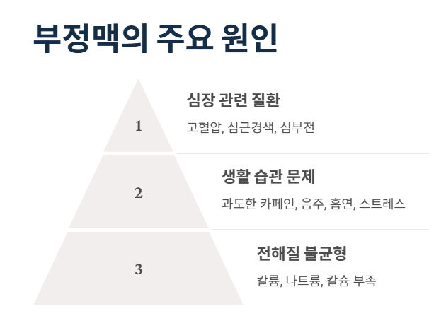 부정맥의 주요 원인