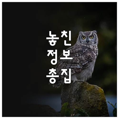 시흥시민이라면 2025년 체육시설 할..