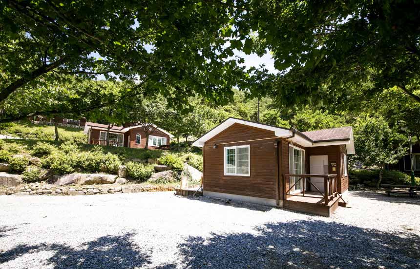 ์ฒ๋๋คe ์์ฐํด์๋ฆผ ์์ฝ ๋ฐฉ๋ฒ