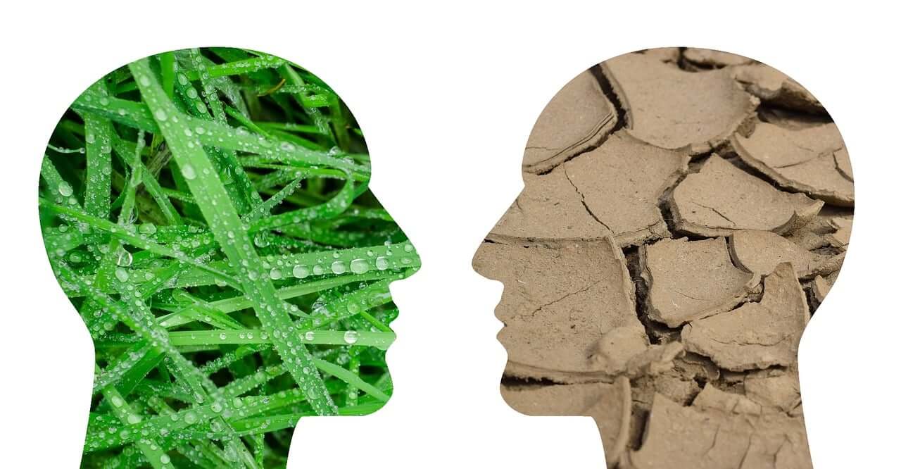 20대 후반부터 두피가 달라지는 이유 ❘ 직접 겪고 나서야 알게 된 신체 변화의 신호