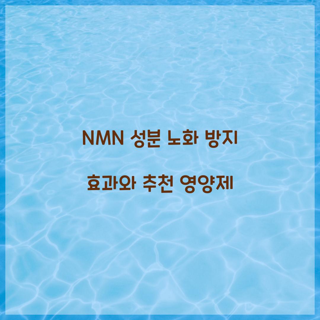 NMN 성분 노화 방지