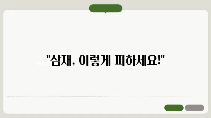 2025년 삼재를 피하는 팁