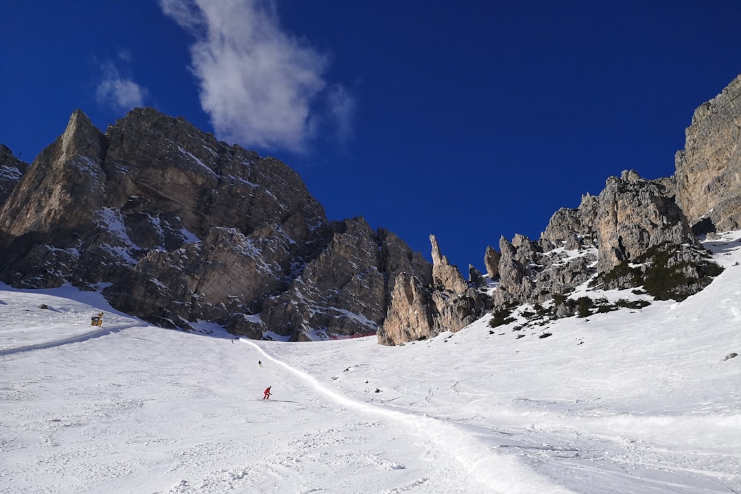 Cortina