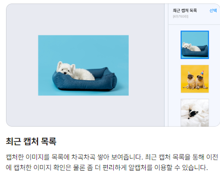 캡쳐프로그램 다운로드