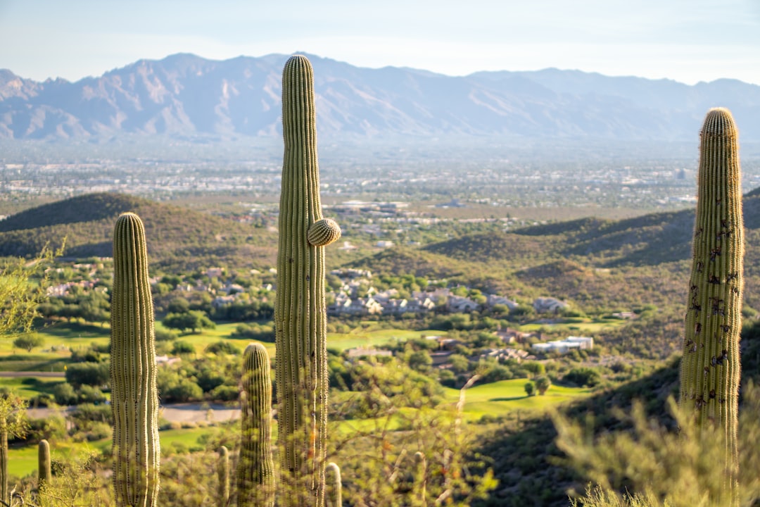 Tucson