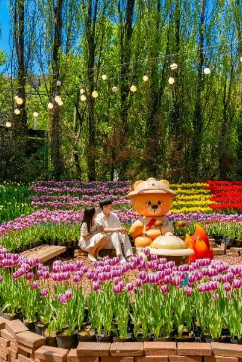 이월드 튤립 축제 이미지
