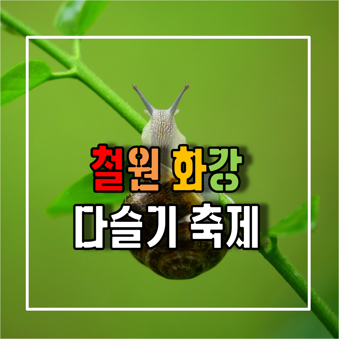 철원화강다슬기축제