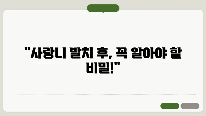 사랑니 발치 후 주의사항 및 통증 음식 등에 대해 알아보기