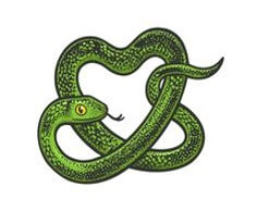 뱀이-집에있는-또아리튼-뱀