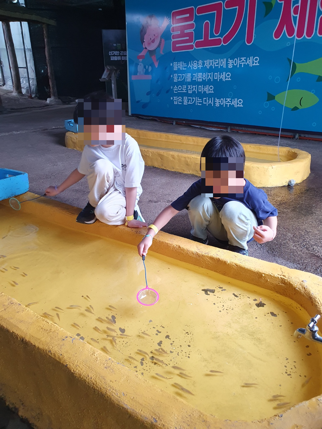 최남단 체험 감귤농장