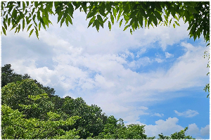 청벽산