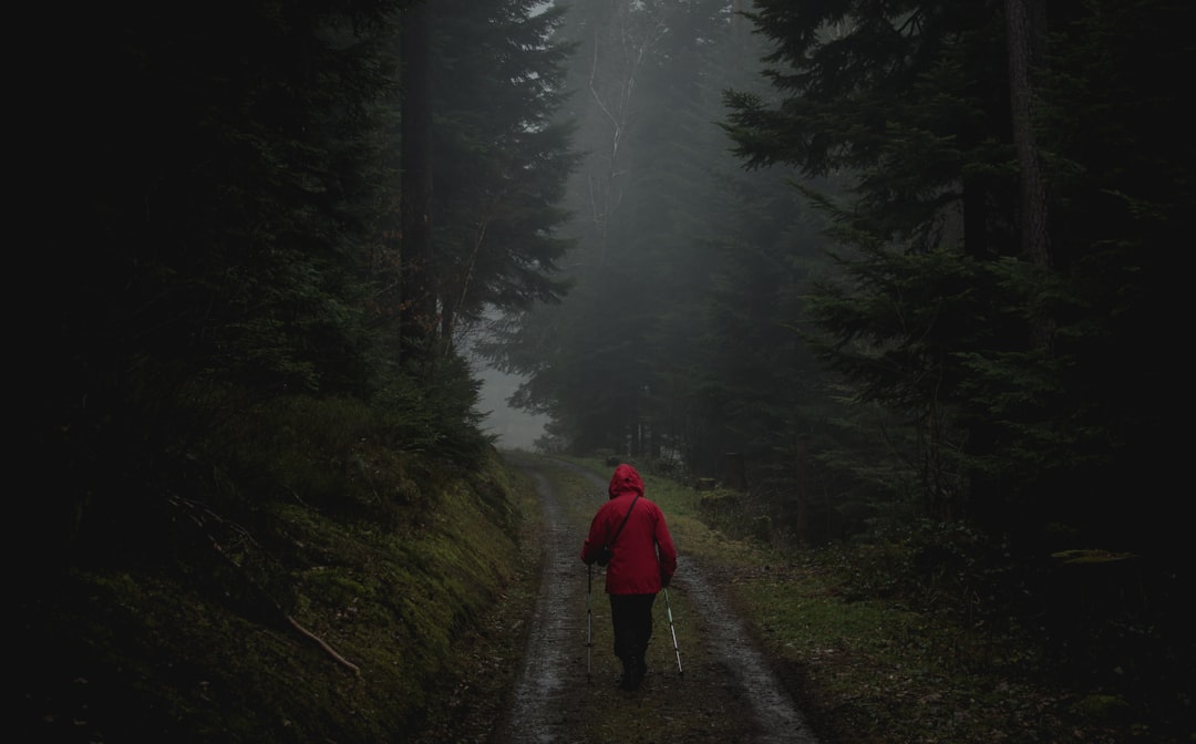Roaming