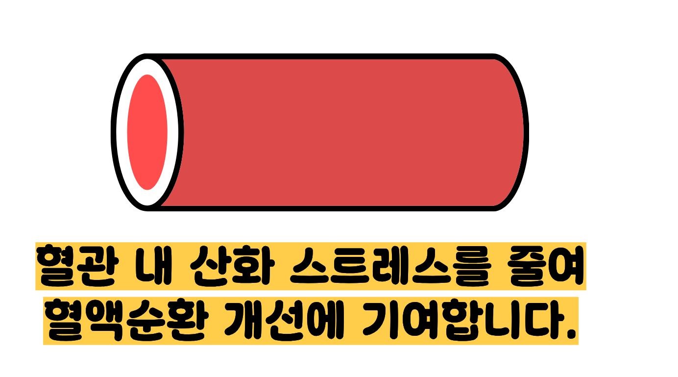 비타민e의 효능