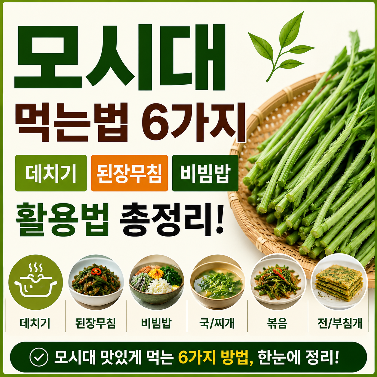 모시대 효능