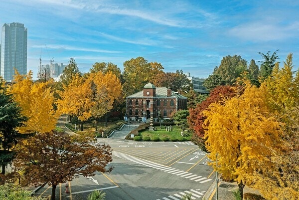 논술 최저등급 맞추기 전략 총정리 (2025 수험생 필독!)