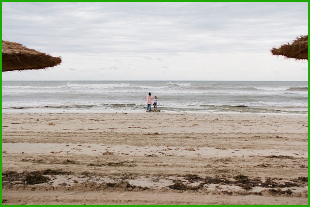 김제 재난지원금