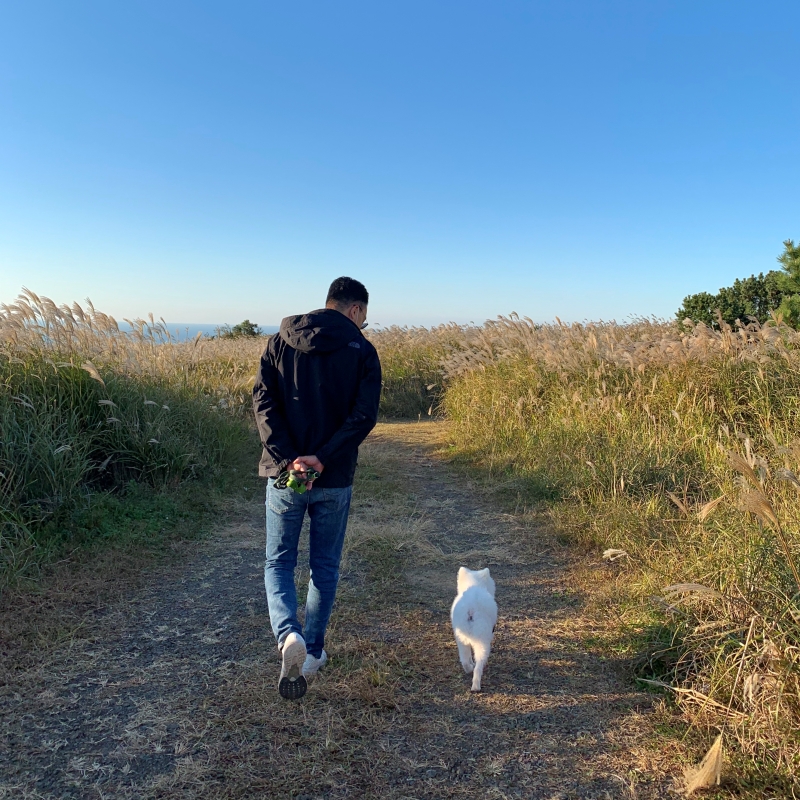 오랜만에 풀 많은 야외 나와서 신난 강아지