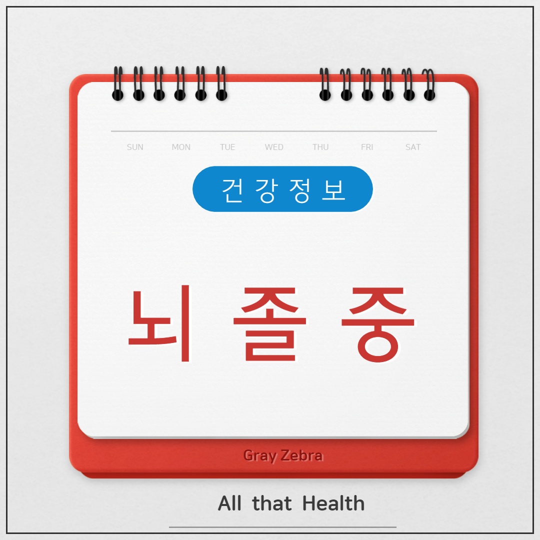 뇌졸중 이란