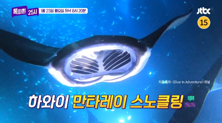 톡파원 25시 이찬원