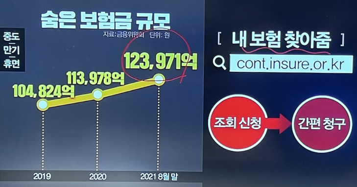 숨은-보험금-규모