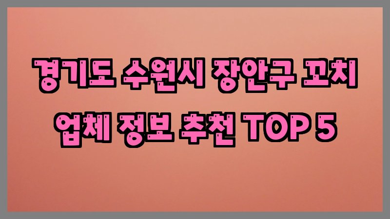 경기도 수원시 장안구 꼬치