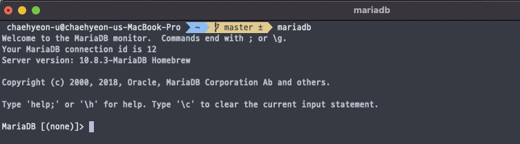 3. mariaDB 실행