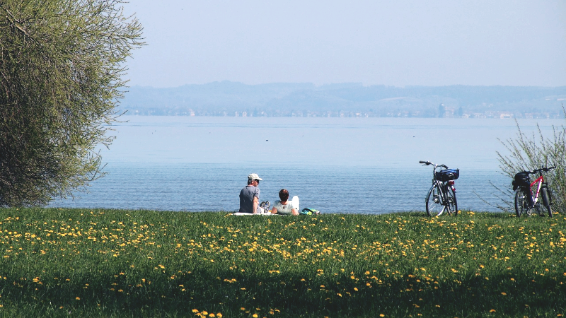 picnic