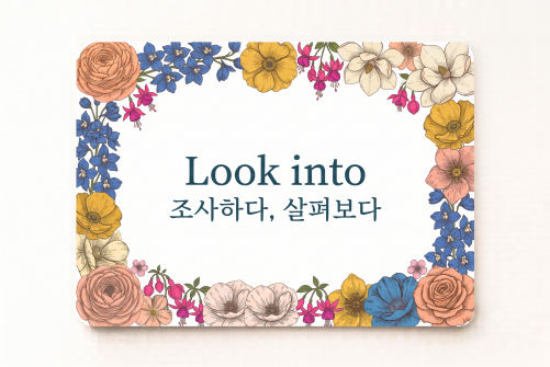 Look into 조사하다