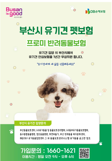 부산시, 유기견 입양 시 1년간 펫보험 무료 지원