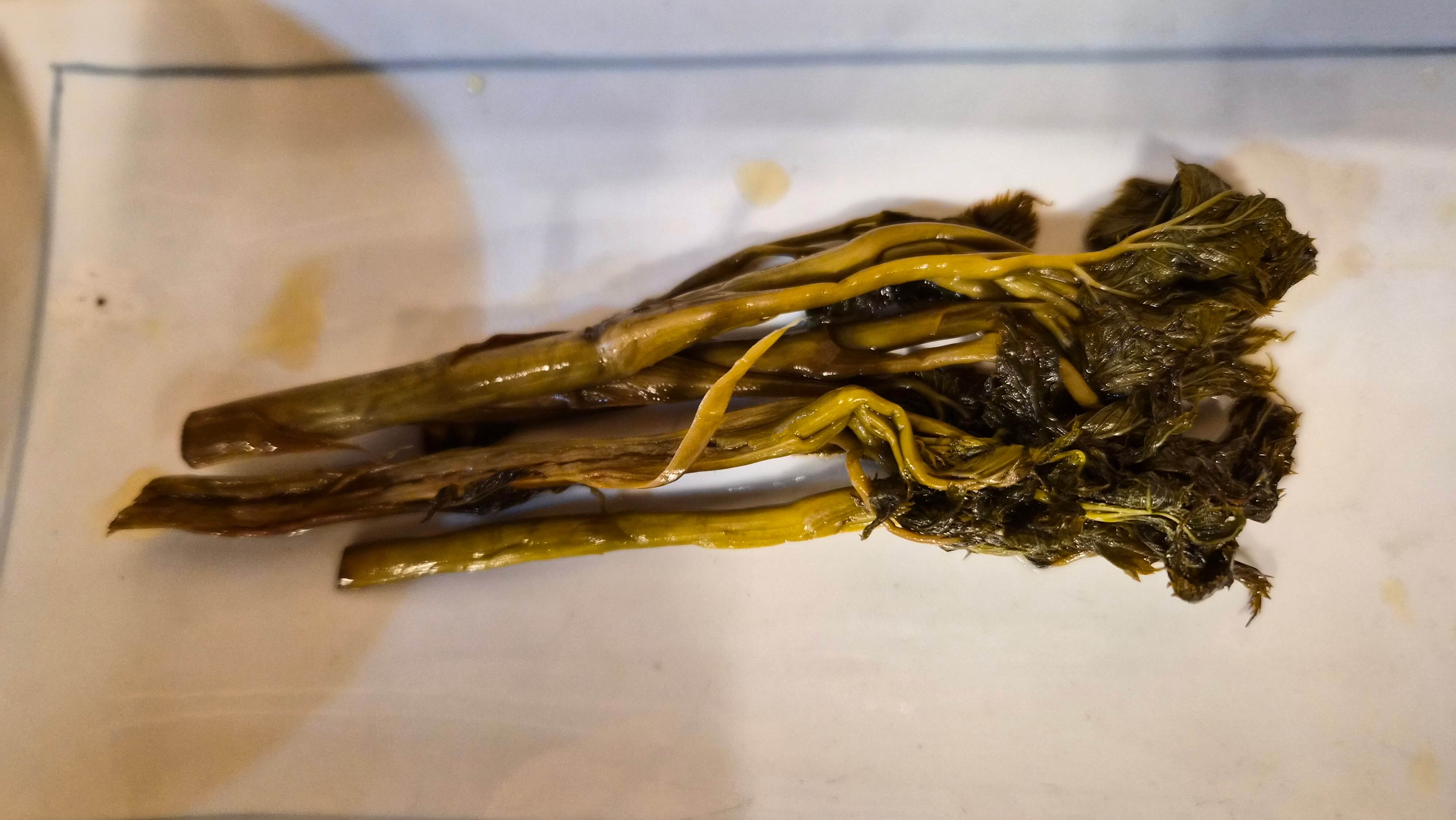 몸이 행복해지는 식당, 제천 열두달밥상 약초 향 가득한 건강한 한상, 직접 다녀온 솔직 후기