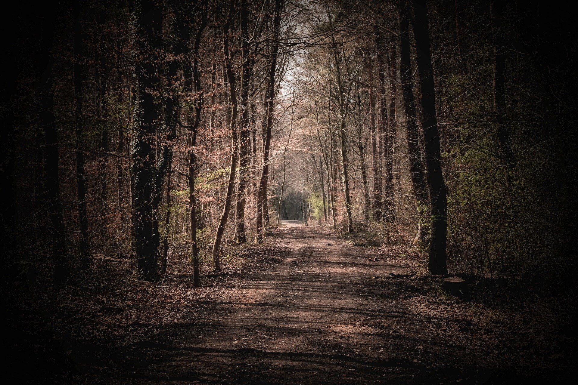 몸의 신호를 신뢰하며 선택의 기준이 바뀐 이후의 일상
