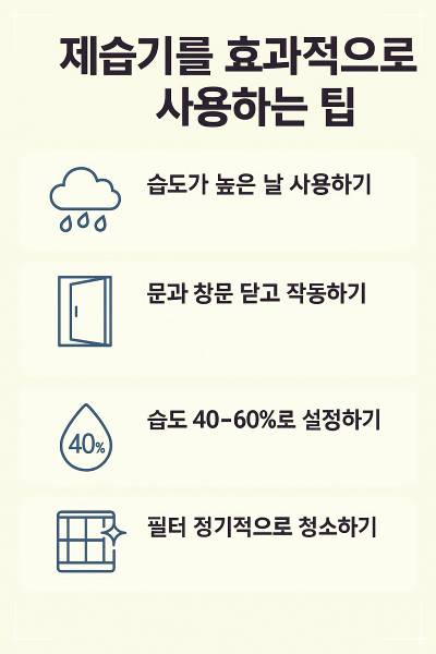 제습기 효과적으로 사용하는 팁