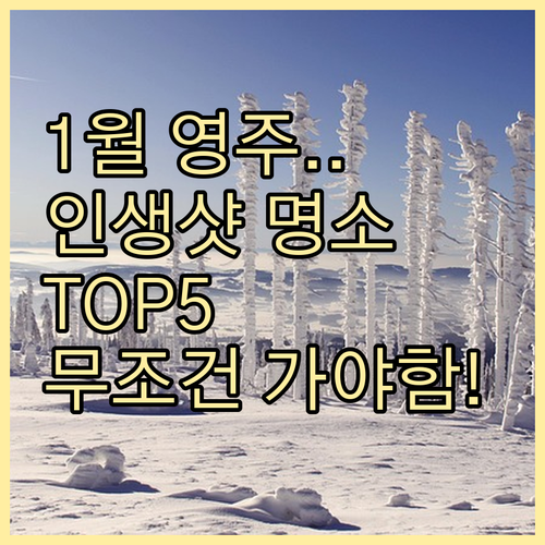 1월 경북 영주 가볼만한곳 TOP5와..
