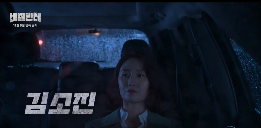 비질란테 등장인물 뜻