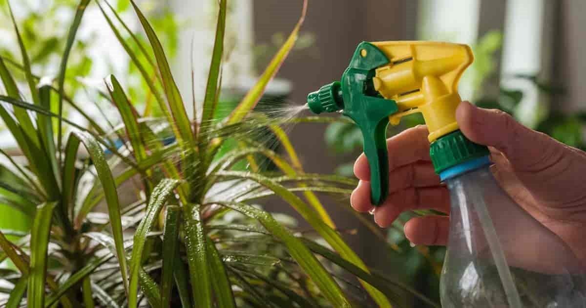 남은 소주를 재활용 하는 꿀팁