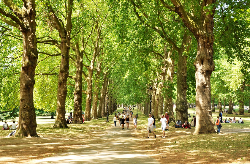 걷기 명상의 모든것(도시 공원) 관련 사진