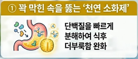 브로멜라인 효능