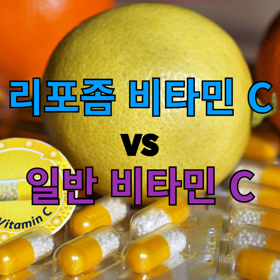 비타민 C 비교