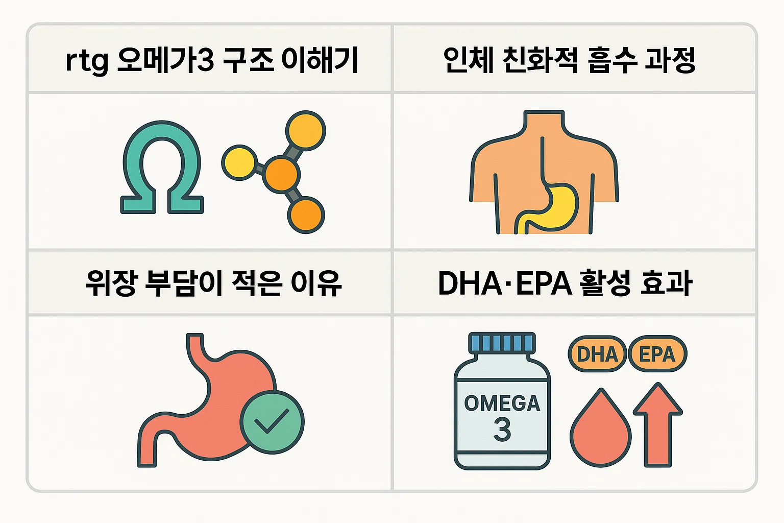 RTG 오메가3의 구조적 특징, 인체 친화적 흡수 과정, 위장 부담이 적은 이유, DHA&middot;EPA 활성 효과를 정리한 인포그래픽.